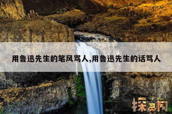 用鲁迅先生的笔风骂人,用鲁迅先生的话骂人
