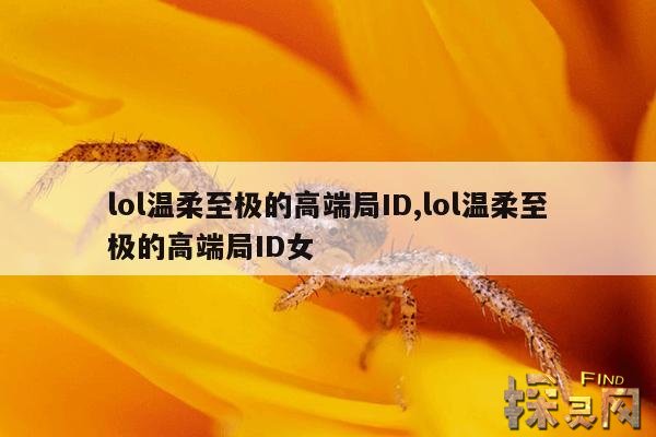 lol温柔至极的高端局ID,lol温柔至极的高端局ID女