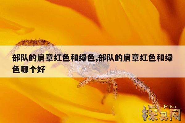 部队的肩章红色和绿色,部队的肩章红色和绿色哪个好