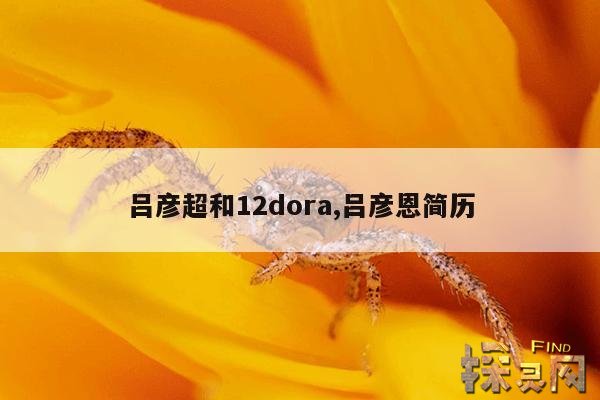 吕彦超和12dora,吕彦恩简历