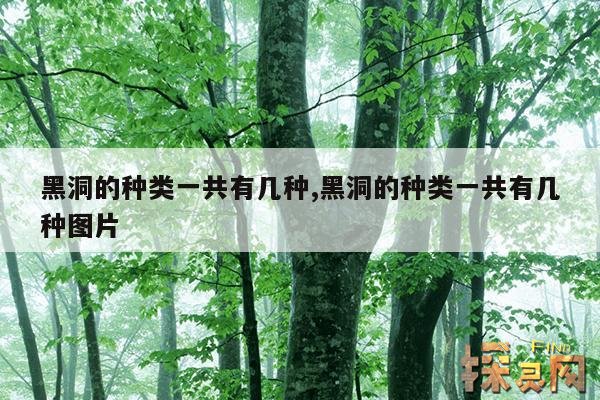 黑洞的种类一共有几种,黑洞的种类一共有几种图片