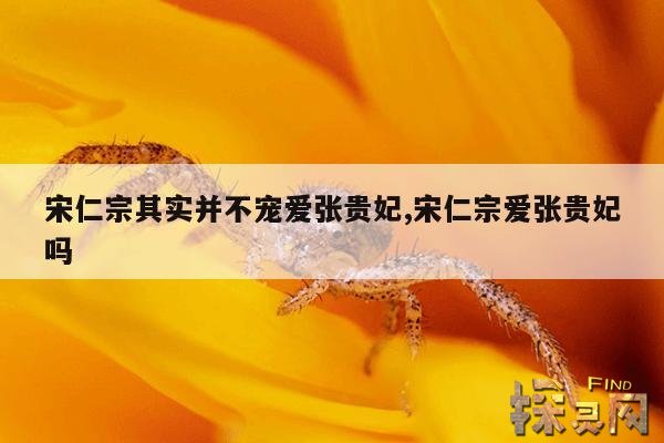 宋仁宗其实并不宠爱张贵妃,宋仁宗爱张贵妃吗