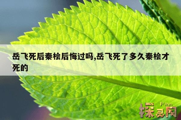 岳飞死后秦桧后悔过吗,岳飞死了多久秦桧才死的
