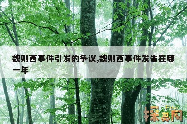 魏则西事件引发的争议,魏则西事件发生在哪一年
