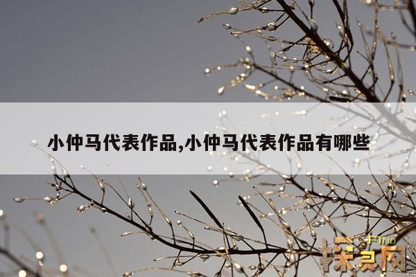 小仲马代表作品,小仲马代表作品有哪些