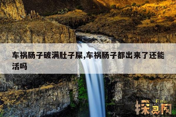 车祸肠子破满肚子屎,车祸肠子都出来了还能活吗