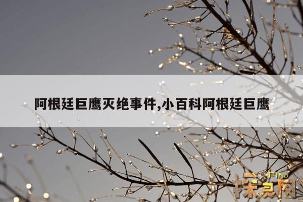 阿根廷巨鹰灭绝事件,小百科阿根廷巨鹰