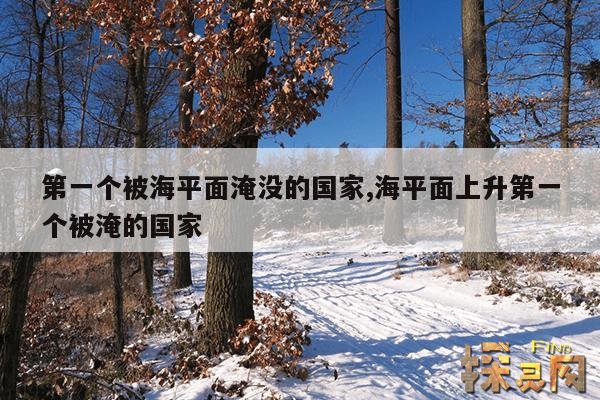 第一个被海平面淹没的国家,海平面上升第一个被淹的国家