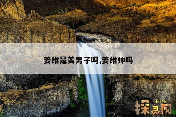 姜维是美男子吗,姜维帅吗