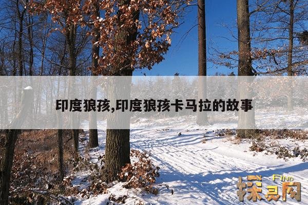 印度狼孩,印度狼孩卡马拉的故事