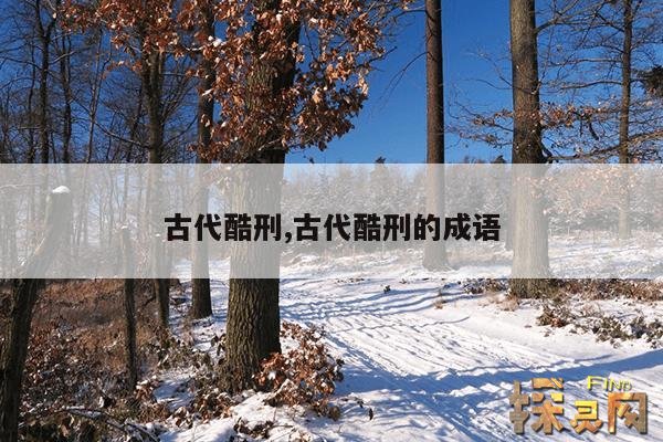古代酷刑,古代酷刑的成语