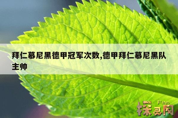 拜仁慕尼黑德甲冠军次数,德甲拜仁慕尼黑队主帅