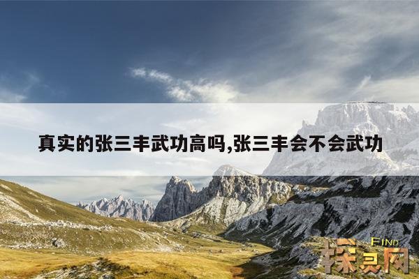 真实的张三丰武功高吗,张三丰会不会武功