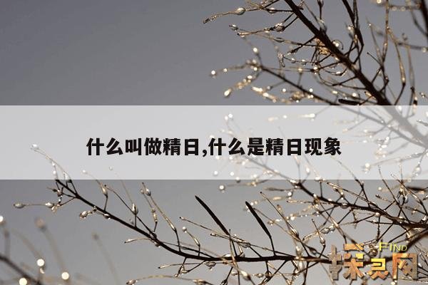 什么叫做精日,什么是精日现象