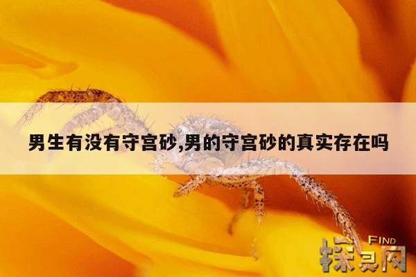 男生有没有守宫砂,男的守宫砂的真实存在吗
