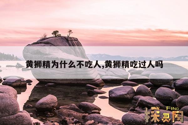 黄狮精为什么不吃人,黄狮精吃过人吗