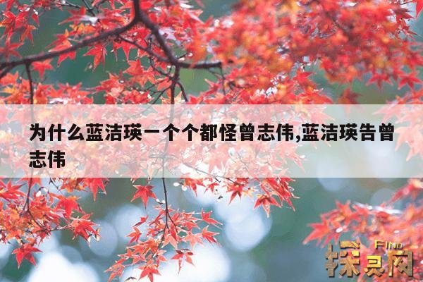 为什么蓝洁瑛一个个都怪曾志伟,蓝洁瑛告曾志伟
