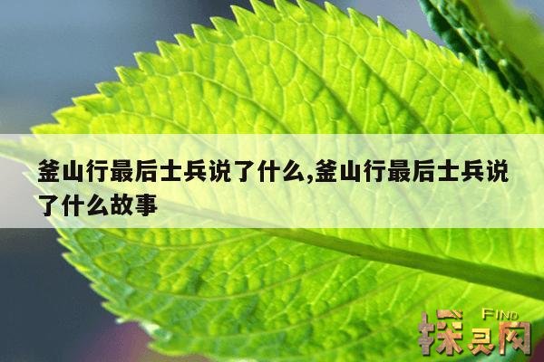 釜山行最后士兵说了什么,釜山行最后士兵说了什么故事