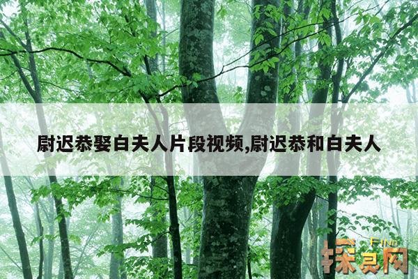 尉迟恭娶白夫人片段视频,尉迟恭和白夫人