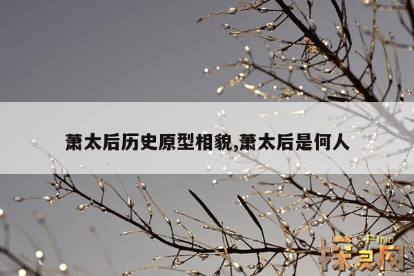 萧太后历史原型相貌,萧太后是何人
