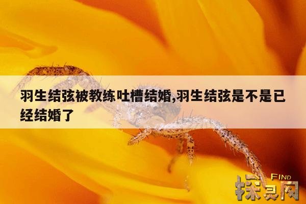 羽生结弦被教练吐槽结婚,羽生结弦是不是已经结婚了