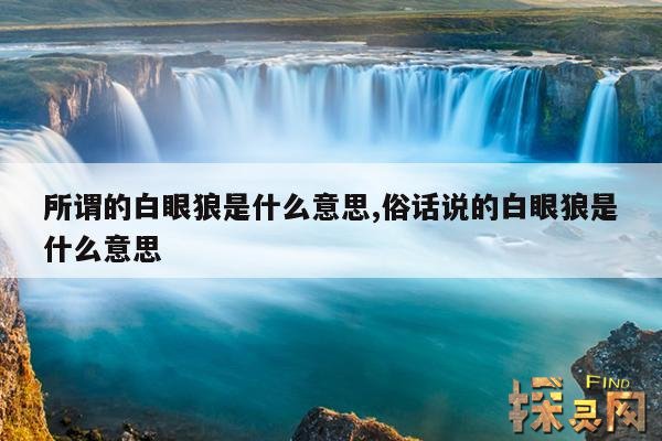 所谓的白眼狼是什么意思,俗话说的白眼狼是什么意思