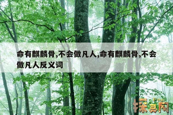 命有麒麟骨,不会做凡人,命有麒麟骨,不会做凡人反义词