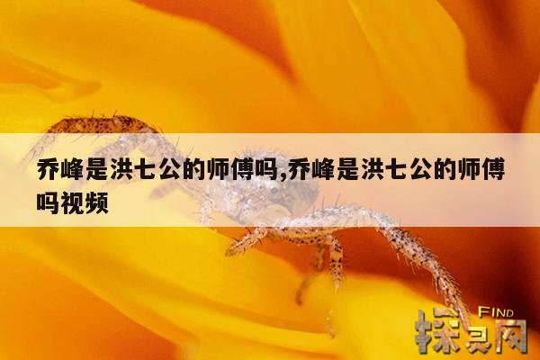 乔峰是洪七公的师傅吗,乔峰是洪七公的师傅吗视频