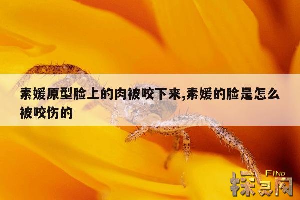 素媛原型脸上的肉被咬下来,素媛的脸是怎么被咬伤的