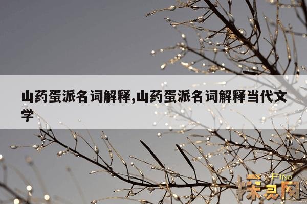 山药蛋派名词解释,山药蛋派名词解释当代文学