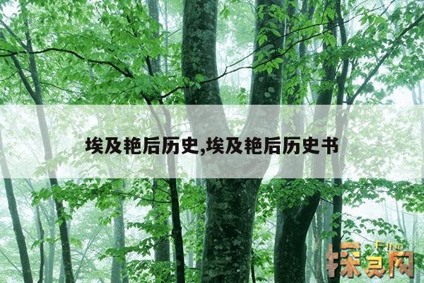埃及艳后历史,埃及艳后历史书
