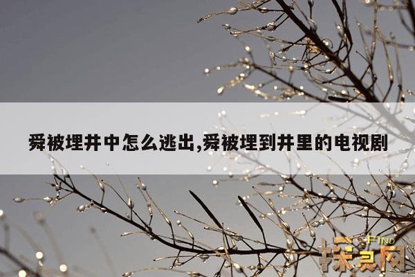 舜被埋井中怎么逃出,舜被埋到井里的电视剧