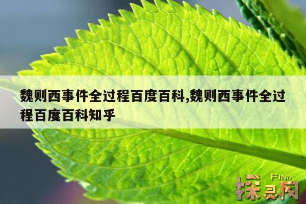 魏则西事件全过程百度百科,魏则西事件全过程百度百科知乎