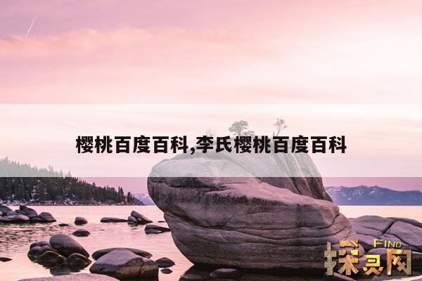 樱桃百度百科,李氏樱桃百度百科