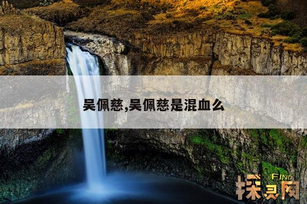 吴佩慈,吴佩慈是混血么