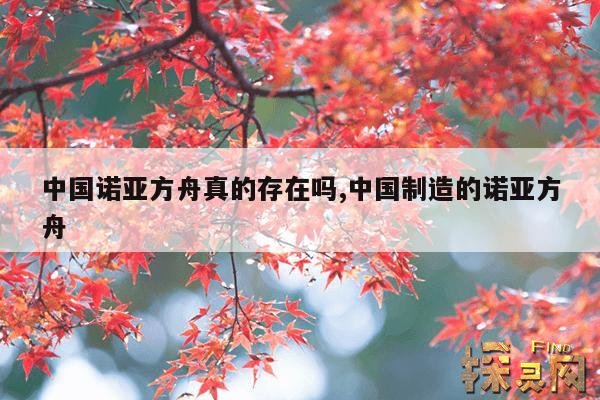 中国诺亚方舟真的存在吗,中国制造的诺亚方舟