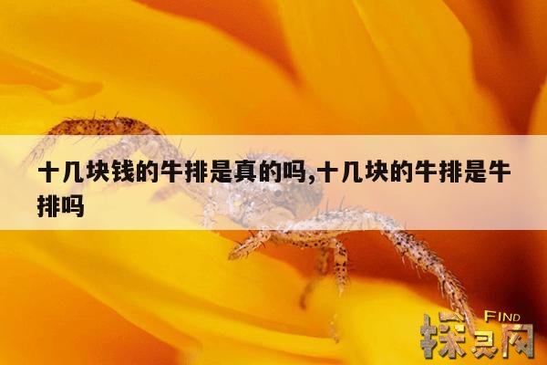 十几块钱的牛排是真的吗,十几块的牛排是牛排吗