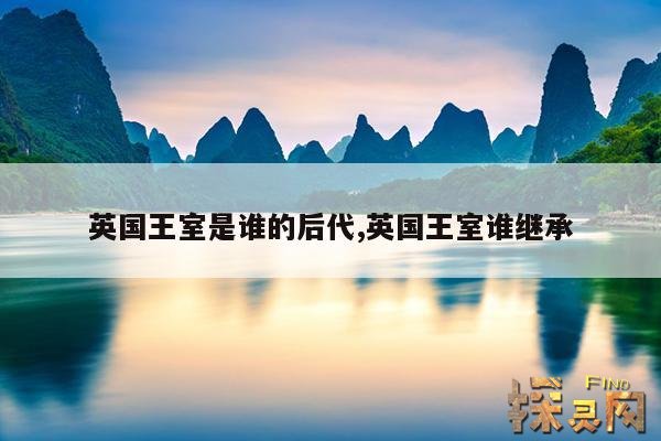 英国王室是谁的后代,英国王室谁继承