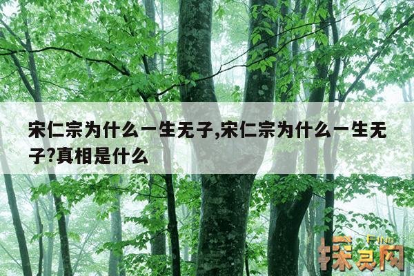 宋仁宗为什么一生无子,宋仁宗为什么一生无子?真相是什么