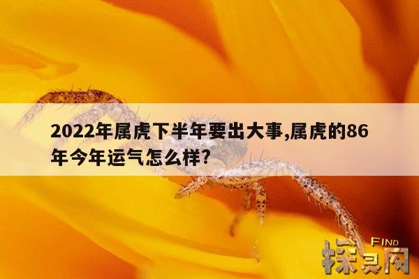 2022年属虎下半年要出大事,属虎的86年今年运气怎么样?