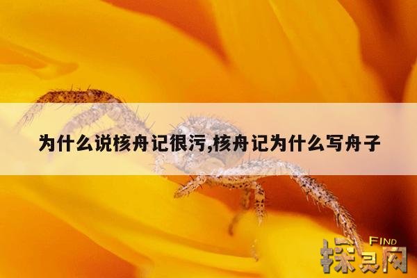 为什么说核舟记很污,核舟记为什么写舟子