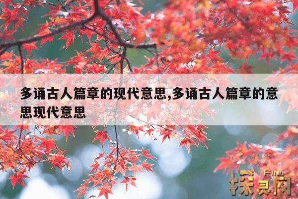 多诵古人篇章的现代意思,多诵古人篇章的意思现代意思