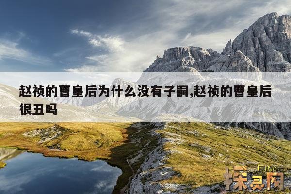 赵祯的曹皇后为什么没有子嗣,赵祯的曹皇后很丑吗