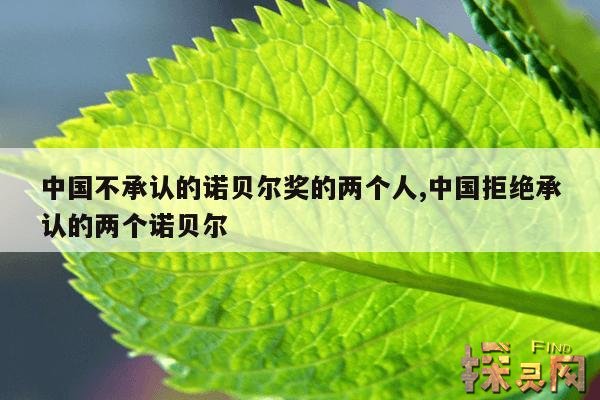 中国不承认的诺贝尔奖的两个人,中国拒绝承认的两个诺贝尔