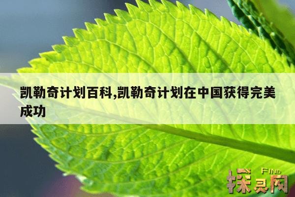凯勒奇计划百科,凯勒奇计划在中国获得完美成功