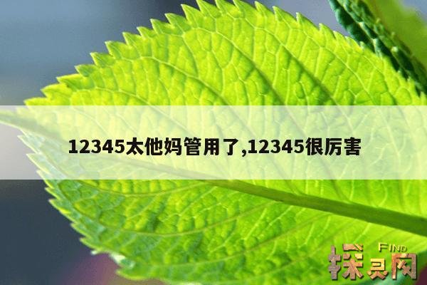 12345太他妈管用了,12345很厉害