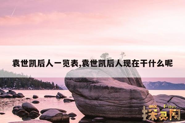 袁世凯后人一览表,袁世凯后人现在干什么呢