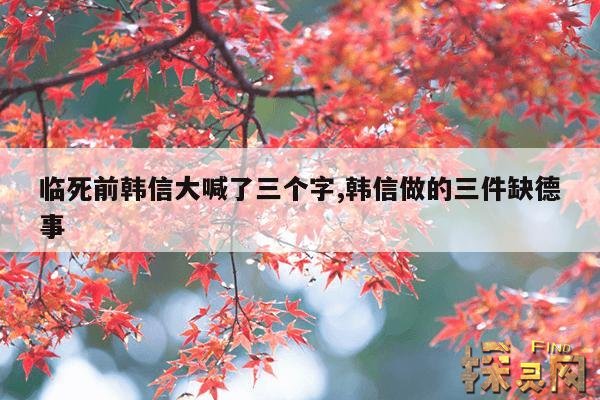 临死前韩信大喊了三个字,韩信做的三件缺德事
