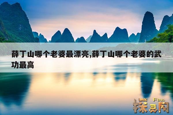 薛丁山哪个老婆最漂亮,薛丁山哪个老婆的武功最高