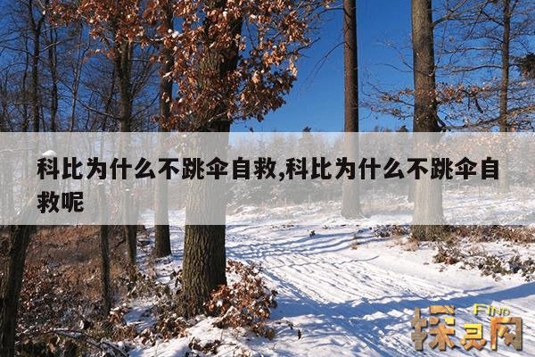 科比为什么不跳伞自救,科比为什么不跳伞自救呢